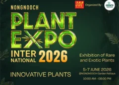 พลาดไม่ได้! ปีที่ 2 ยิ่งใหญ่กว่าเดิม  สวนนงนุช พัทยา จับมือ Growth Together จัดงาน “NongNooch Plant Expo International 2026”