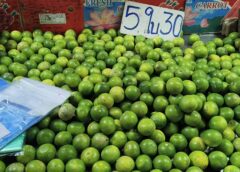 มะนาวพุ่งลูกละ 8 บาทพ่อค้าแม่ค้าผวาน้ำมันขึ้นดันสินค้าพุ่งทั้งตลาด