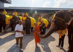 จาก 9 เชือกในปีที่ผ่านมา สู่เชือกแรกปีนี้ “พลายมิตรภาพ” สัญลักษณ์ความสำเร็จการดูแลและอนุรักษ์ช้างไทยของปางช้างสวนนงนุชพัทยา