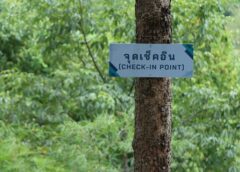 24 พฤษภาคม วันป่าชุมชนแห่งชาติ “Community Forest Besed Wellness: ป่าชุมชน สร้างสุข สร้างรายได้ สร้างอนาคต”